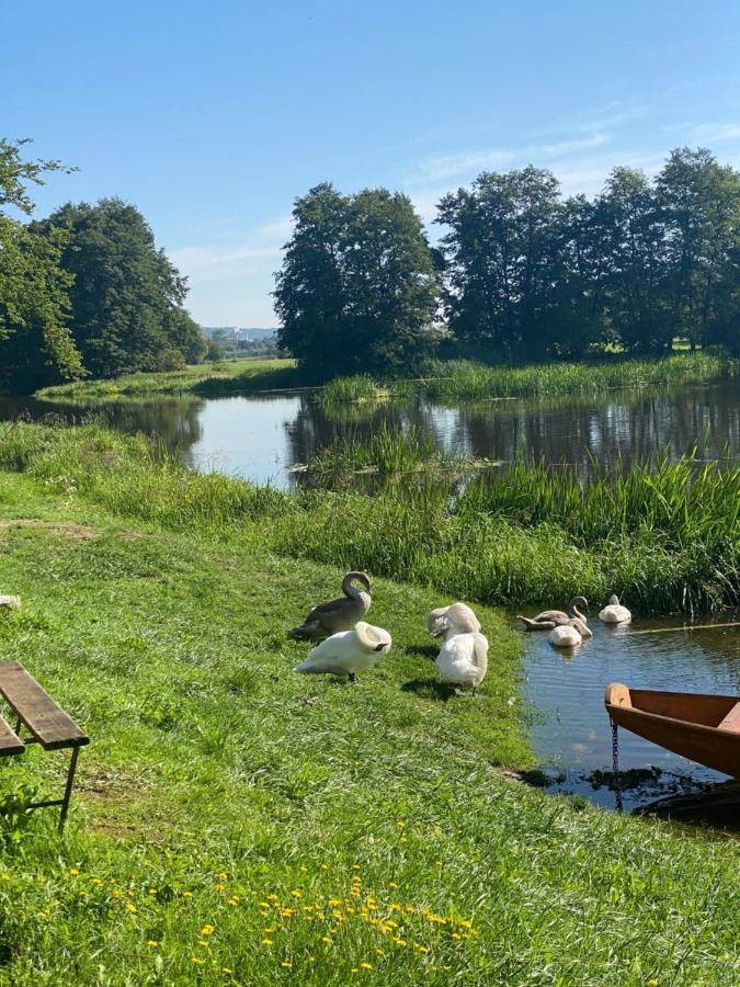 Idyllische Ferienwohnungen In Mossendorf Blick Zur Naab Burglengenfeld Exterior photo